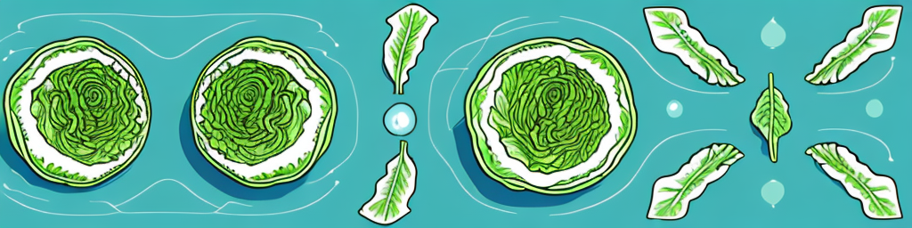 Romaine Lettuce vs Iceberg Lettuce: Health and Beauty Impacts