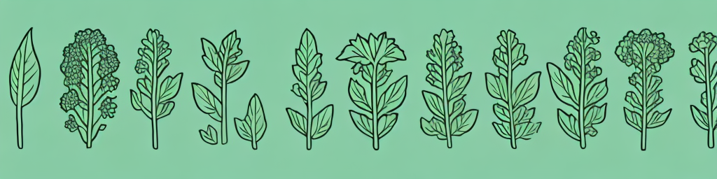 Cilantro vs Basil: Comparing Health, Beauty, and Wellness Impacts