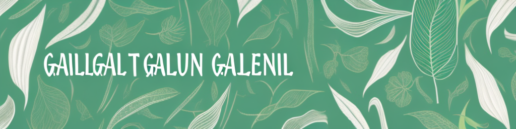 Galangal Essential Oil: Harnessing Nature's Resinous Health Treasure