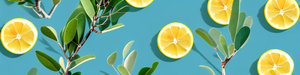 Lemon Eucalyptus Oil vs Eucalyptus Oil: Which Essential Oil is Best?