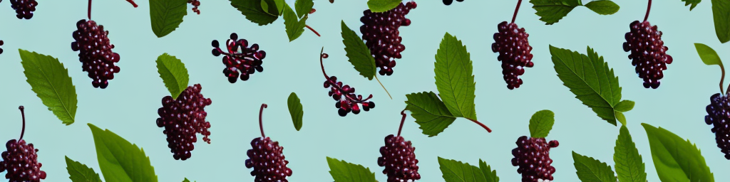 Elderberry vs Mulberry: Health, Aging, Skin and Beauty Impacts