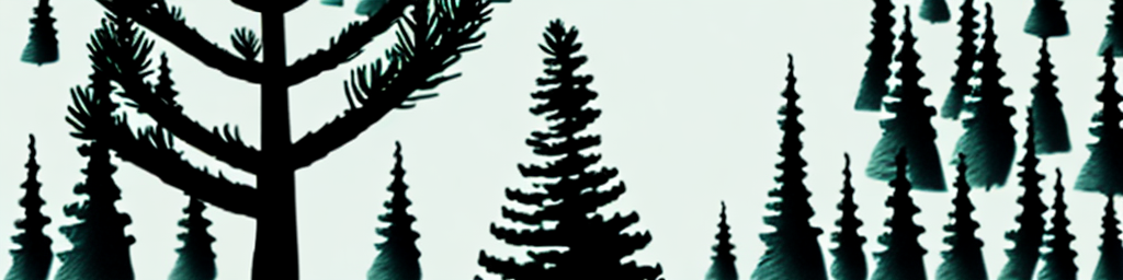 Spruce (Black) Essential Oil: Health Benefits from Needles and Twigs