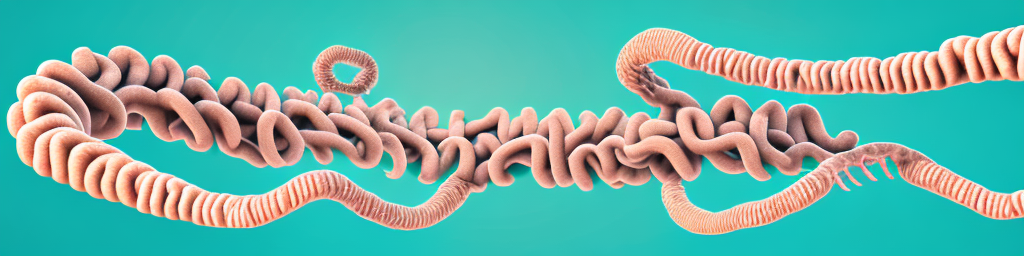 How Toxic Megacolon Impacts Your Health, Wellness, Skin and More