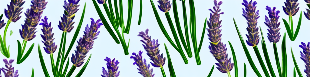 Comparing Lavender Oil and Rosemary Oil: Which is Best for You?