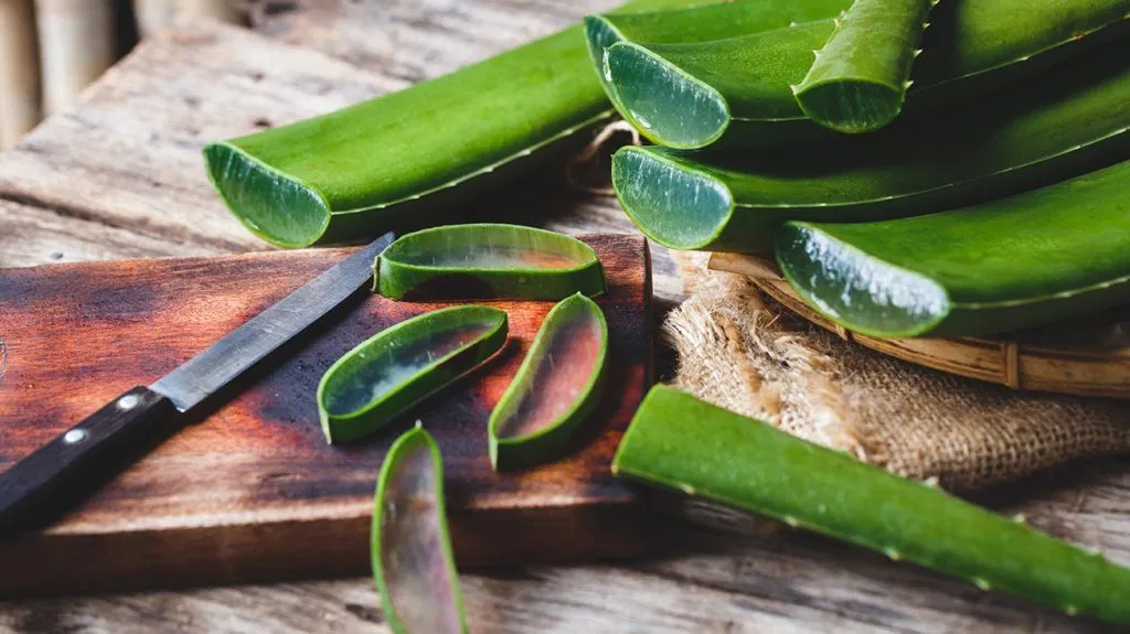 Aloe Vera's Healing Properties: Transform Your Skincare Routine