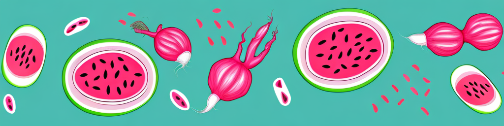 Radish vs Watermelon Radish: Health, Aging, Skin, and Beauty Impacts