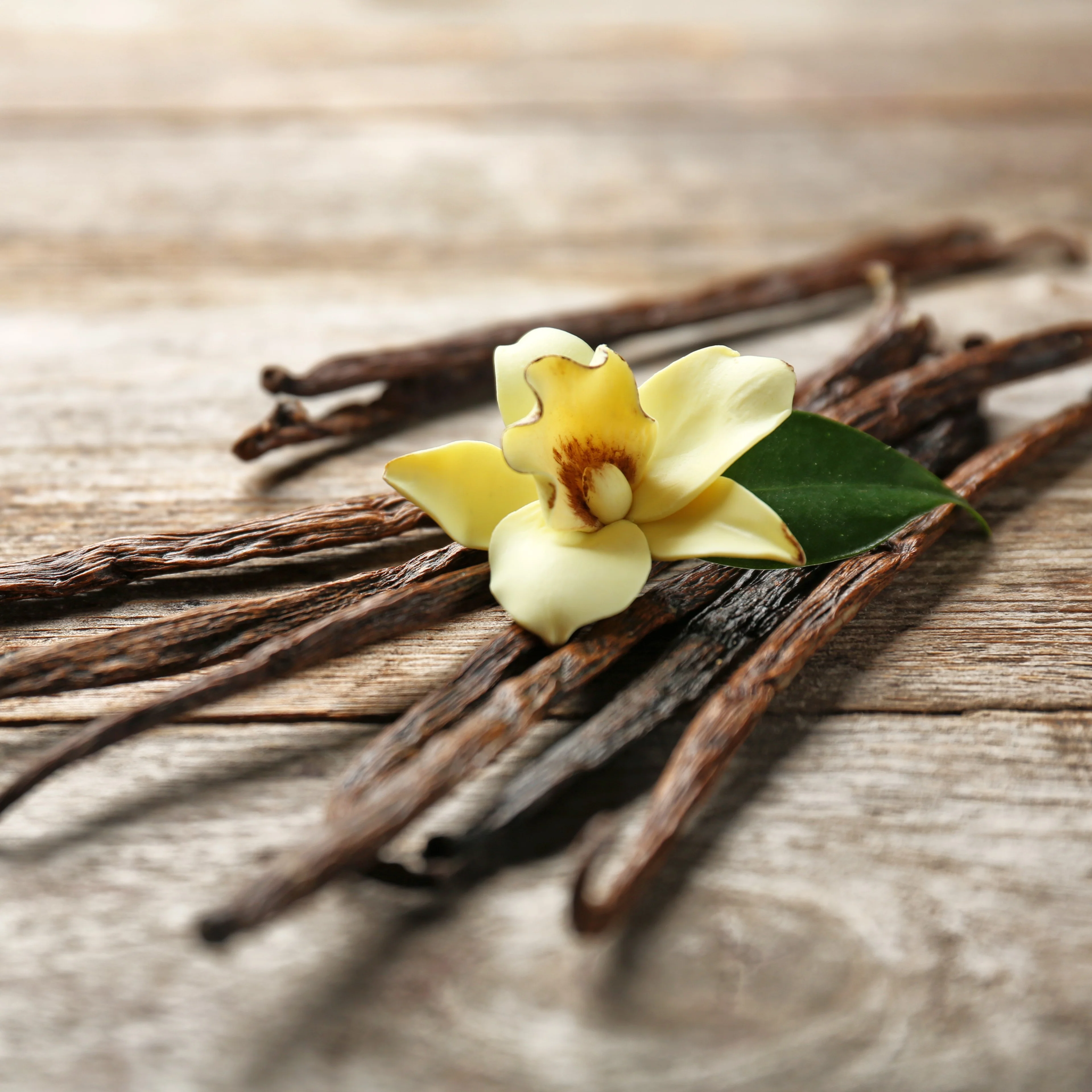 Vanilla Essential Oil Benefits: Remarkable Properties and Health Uses